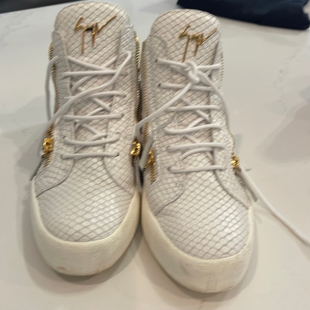 Giuseppe Zanotti